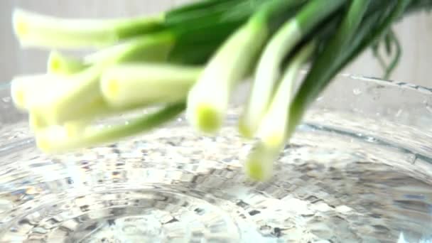 Caída Cebollas Verdes Tazón Con Agua Movimiento Lento — Vídeo de stock