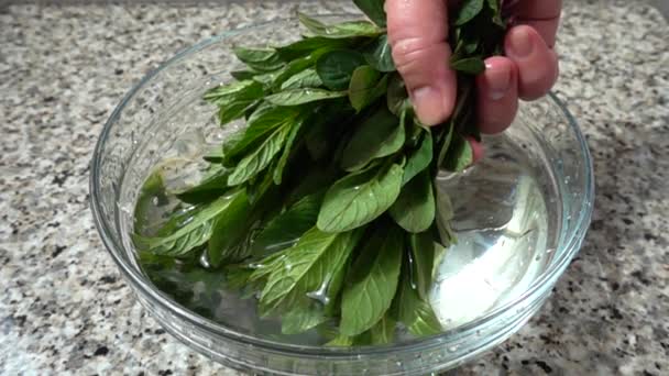 料理人は水からミントの葉を得る スローモーション — ストック動画