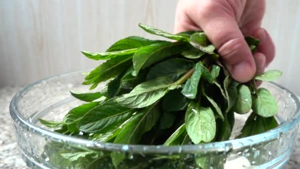 Cook Gets Mint Leaves Water Slow Motion — Stock Video