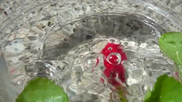 Caduta Frutta Ravanello Una Boccia Con Acqua Rallentatore — Video Stock