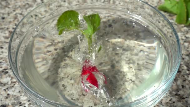 Falling Fruits Radish Bowl Water Slow Motion — Stock Video