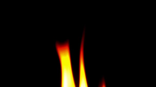 火と炎だ 黒い背景での火災 — ストック動画