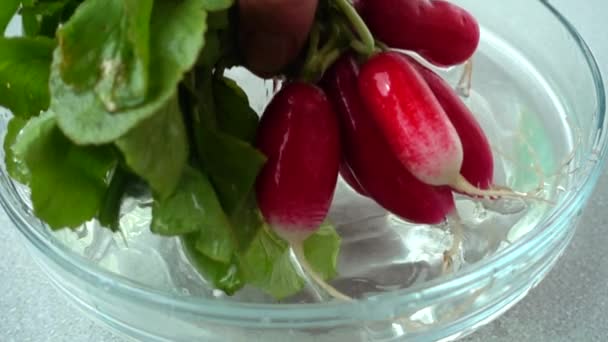 Cook Gets Radish Fruits Water Slow Motion — Stock Video