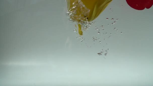 Petals Tulips Fall Water Background Slow Motion — Stock Video