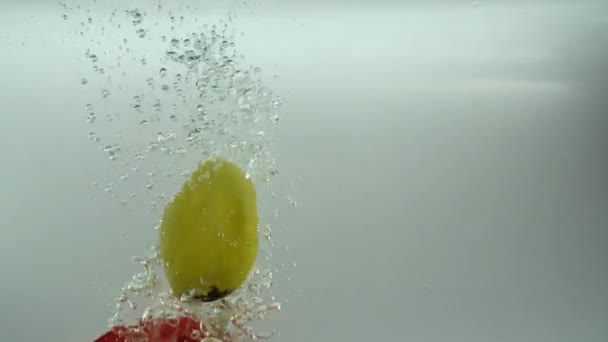 Пелюстки Тюльпанів Падають Воду Тло Повільний Рух — стокове відео