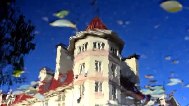 Spiegelung Des Gebäudes Wasser Verschiedene Schattierungen Und Effekte Der Reflexion — Stockvideo