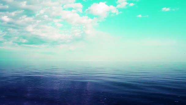 Морской Пейзаж Море Облака Чайки — стоковое видео