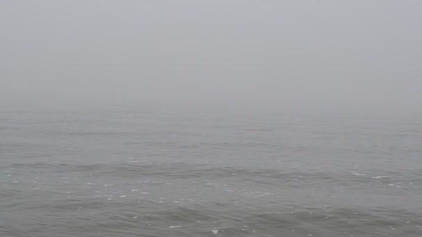 Sea Fog Shooting Beach — Stock Video