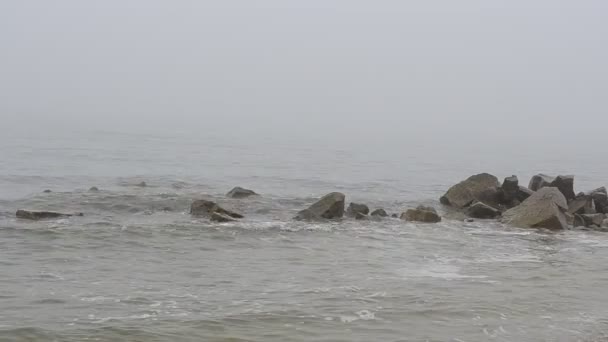 Mare Nella Nebbia Girare Sulla Spiaggia — Video Stock