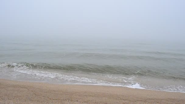 雾中的大海 海滩上的射击 — 图库视频影像