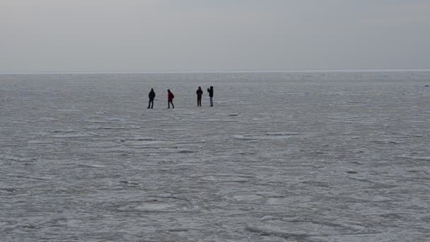 Πάγος Στη Θάλασσα Σκοποβολή Τον Ιανουάριο — Αρχείο Βίντεο