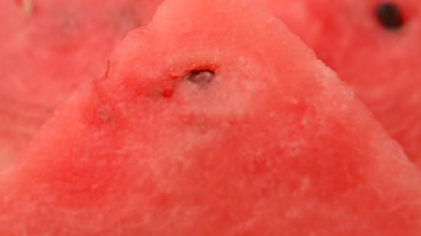 Schießen Einer Wassermelone Schießen Der Bewegung — Stockvideo