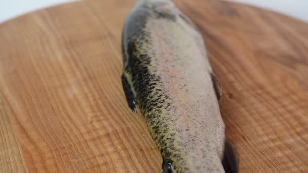 Trout Turntable Board Shooting Fish — Stock Video