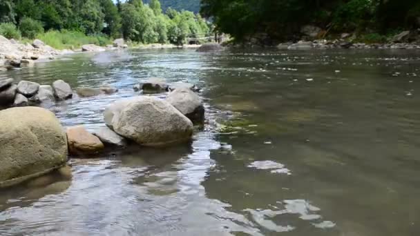 Pohled Horskou Řeku Lese Kameny Voda — Stock video