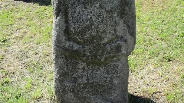 Estatuas Piedra Polovtsiana Ucrania Tiltup Disparó Hacen Los Siglos Las — Vídeo de stock