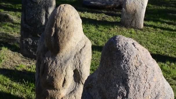 Polovcianské Kamenné Sochy Ukrajina Vyrábějí Století Sochy Jsou Vyrobeny Šedého — Stock video