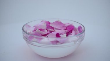 Beyaz arka planda çay gülü. Harekette çekim.