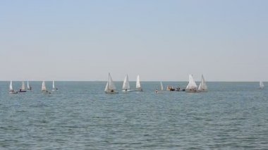 Tatil sezonunun onuruna yelkenli yarışı. Berdyansk şehri, Ukrayna. Denizde yatlar.
