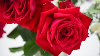 Beyaz arka planda çiçekler. Güller ve zambaklar.