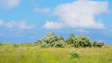 Doğa manzarası. Yazın çekim. Bulutlar gökyüzünde yüzer. Gökyüzündeki bulutlar.