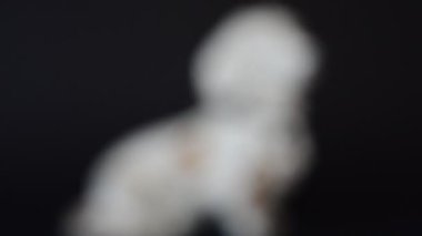 Bir daksund figürünün vurulması. Bir heykelciğin çekimine.
