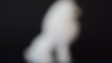 Bir kanişin köpeğini vurmak. Bir heykelciğin çekimine.