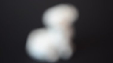Bir dalmaçyalının köpeğini vurmak. Bir heykelciğin çekimine.