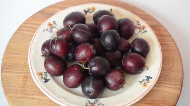 Beyaz arka planda erik avlamak. Eriklerin filizlenmesi.