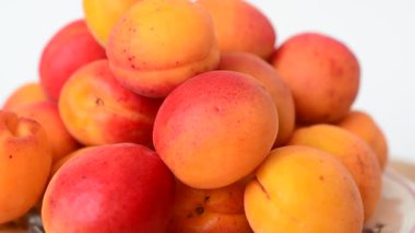 Kayısı vuruyorum, makro. Meyve filizi.