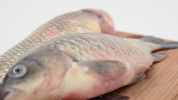 Crucians on a chopping board. Fresh fish. — Stock Footage Crucians Chopping Board Fresh Fish Royalty Free Stock Video