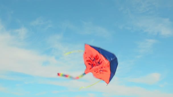 Kite Flying Sky Summer Time Beach Sea Shore — Stock Video