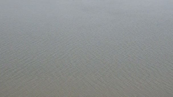 Tournage d'un paisible Dnister. Tournage en été .