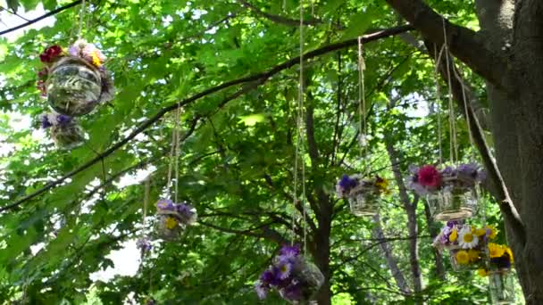 Blumen Glasgefäßen Installation Park Ein Korb Und Blumen Auf Ästen — Stockvideo