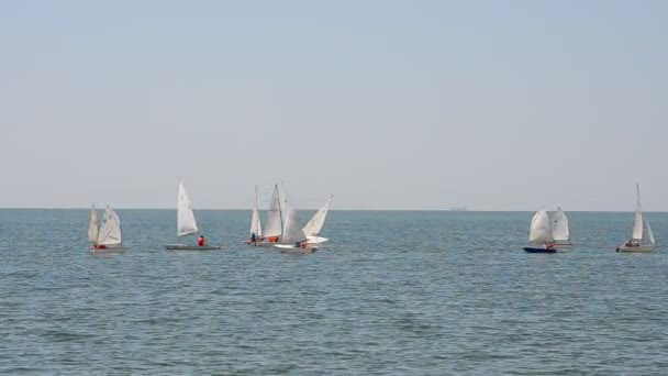 Regata Počest Sezóny Letovisku Město Berdyansk Ukrajina Jachty Moři — Stock video