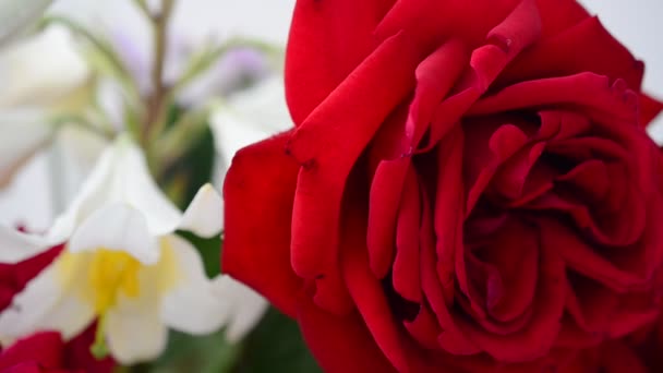 Bloemen Een Witte Achtergrond Rozen Lelies — Stockvideo