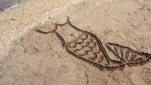 Γοργόνα Ζωγραφίζει Στην Άμμο Σχέδιο Στην Άμμο — Αρχείο Βίντεο