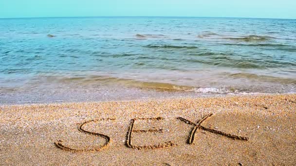 对沙地性别的登记 海滩上的题词 — 图库视频影像