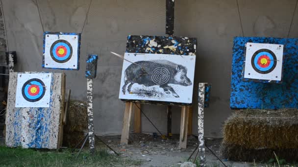 Mål Bueskydning Ramt Pile Shooting Processen Med Hit Pile Mål – Stock-video