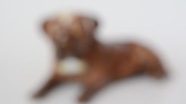 射击一只狗的咀嚼物 枪毙一个人偶 — 图库视频影像