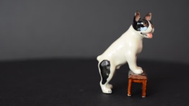 Schieten Een Bulldog Schieten Van Een Beeldje — Stockvideo