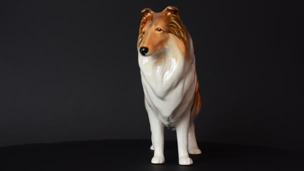 Sparatoria Cane Collie Scozzese Sparatoria Una Statuetta — Video Stock