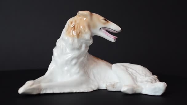 Disparando Perro Lobo Ruso Tiro Una Estatuilla — Vídeos de Stock