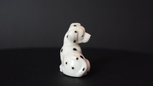 Schieten Een Hond Van Een Dalmatiër Schieten Van Een Beeldje — Stockvideo