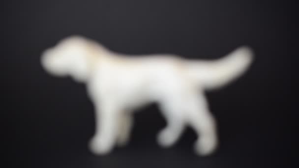 Зйомки Собаки Фігурного Сетера Зйомки Статуетки — стокове відео