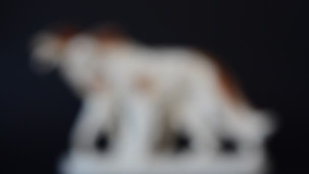 Tiroteio Cão Cão Cão Lobo Russo Tiro Uma Estatueta — Vídeo de Stock