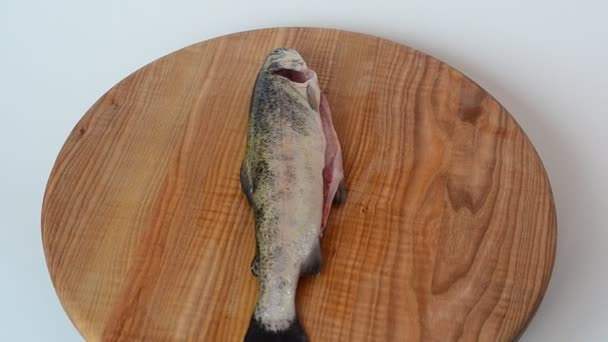 鳟鱼在木板上 开枪射击鱼类 — 图库视频影像