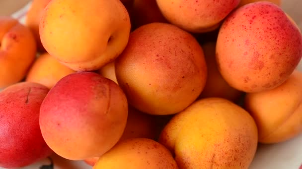 Shooting Apricot Macro Shooting Fruit — Stock Video