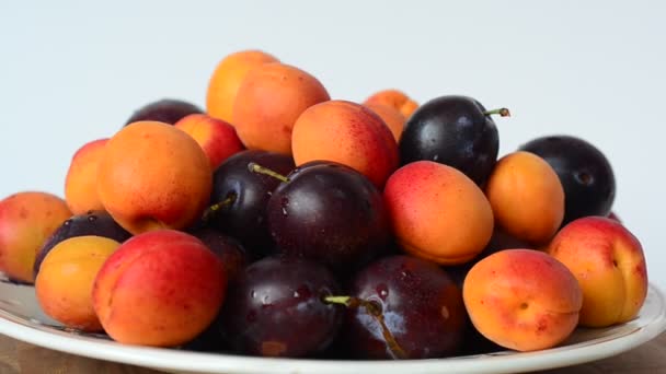 Aprikoser Och Plommon Frukt Skjutning Frukt — Stockvideo