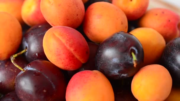 Damascos Ameixas Fruta Tiro Fruto — Vídeo de Stock