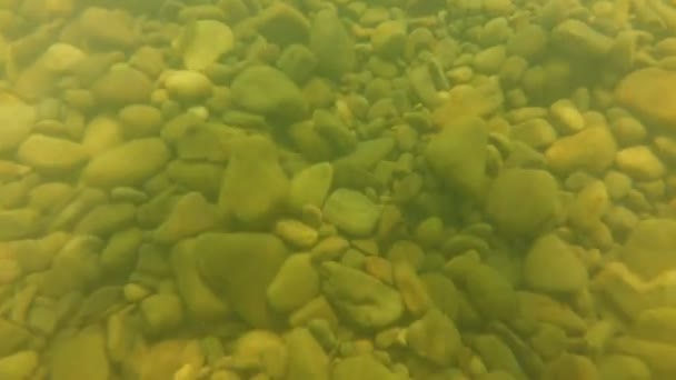 Le monde sous-marin dans la rivière. Tir de la rivière de montagne sous l'eau .